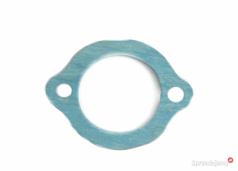 Dolny zestaw uszczelek silnika Tajęcina