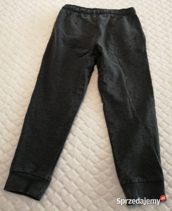 Spodnie dresowe szare 110 Little kids Odzież Czeladź