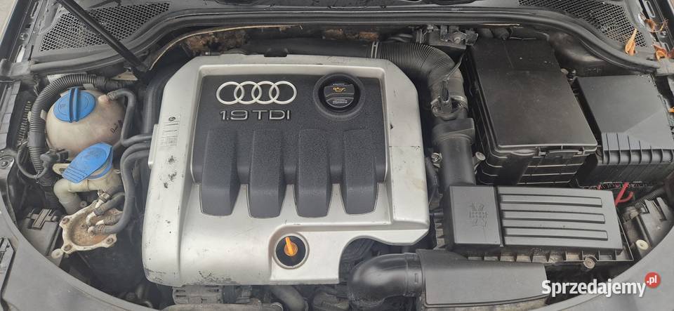 AUDI A3 HATCHBACK 8P 1900 TDI Głogów