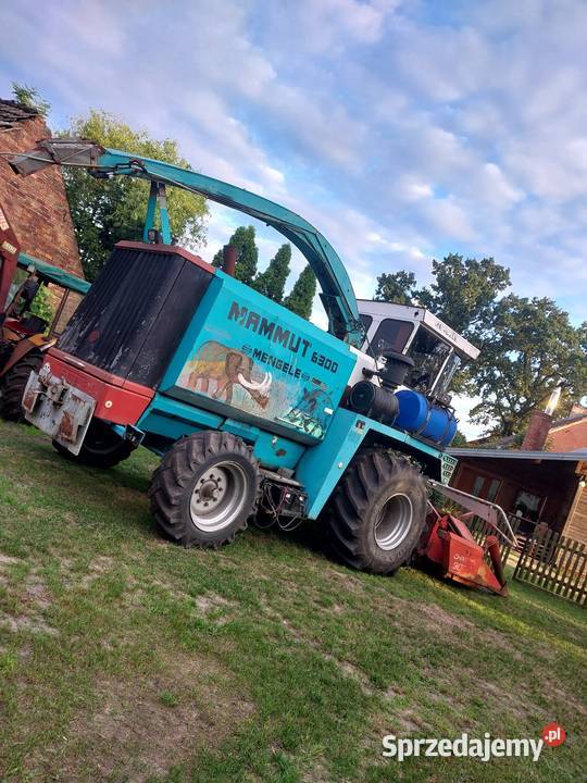 Sieczkarnia Mengele Mammut 6300 Case Jelenie