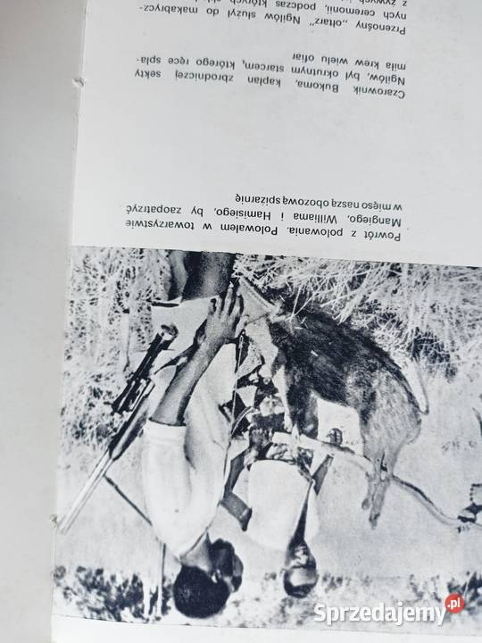 W afrykańskiej dżungli Książki Trójmiasto Gdańsk