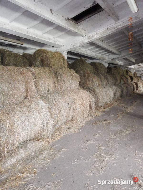 Siano pod dachem 2025