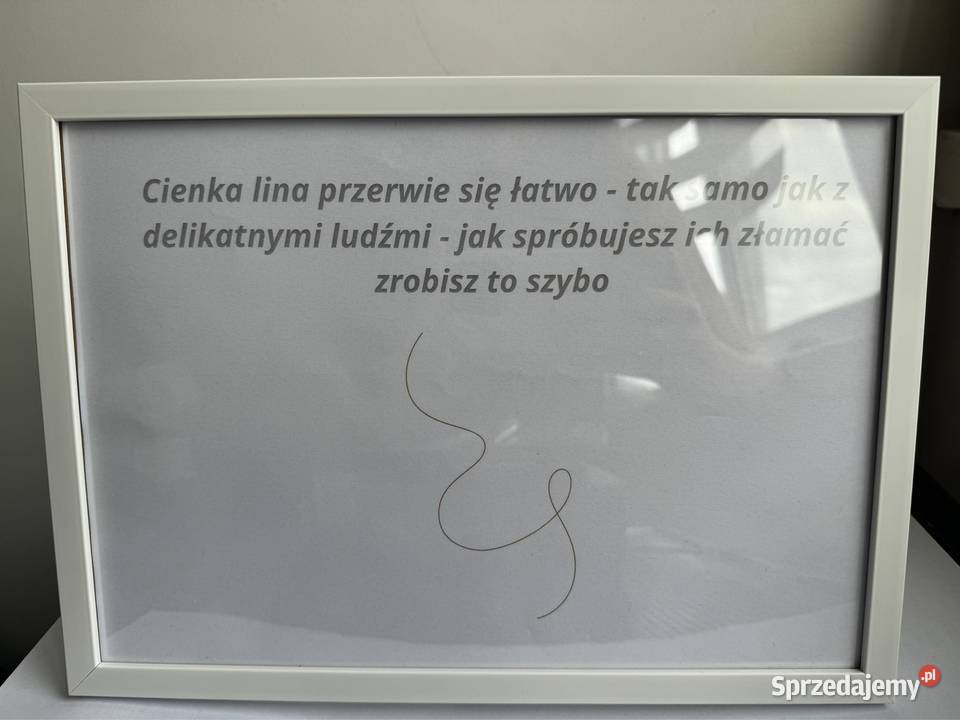 Unikatowe ponadczasowe dzieło w ramce mazowieckie Warszawa