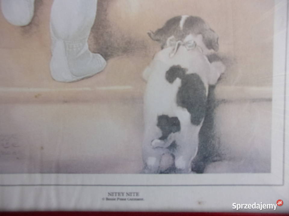 ładne 2 reprodukcje z serii Garden Collection Warszawa