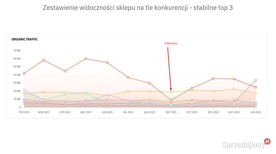 Dojrzały Ecommerce z branży LifestyleHobby mazowieckie Warszawa