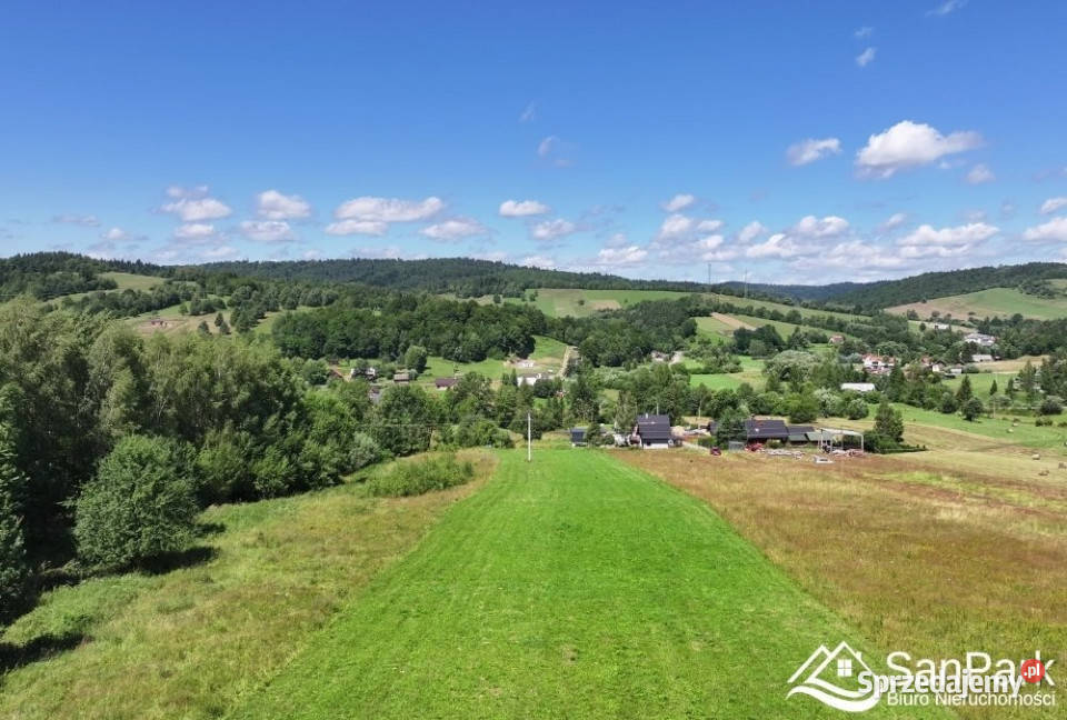 Działka Olszanica 22000m Sprzedaż