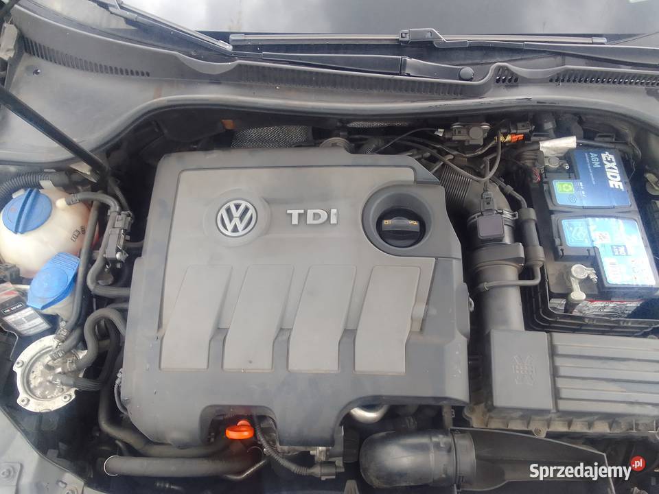 Volkswagen Golf 16tdi bluemotion technology garażowany Nowa Ciświca