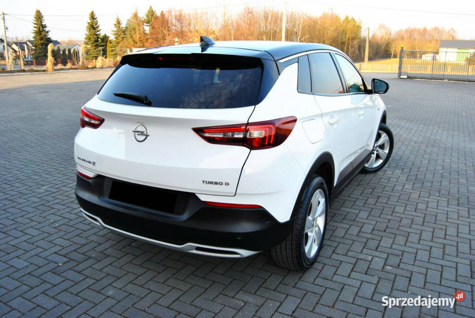 Opel Grandland X FUL Kamera NAVI LEDY OPŁACONY gniazdo USB Modliborzyce