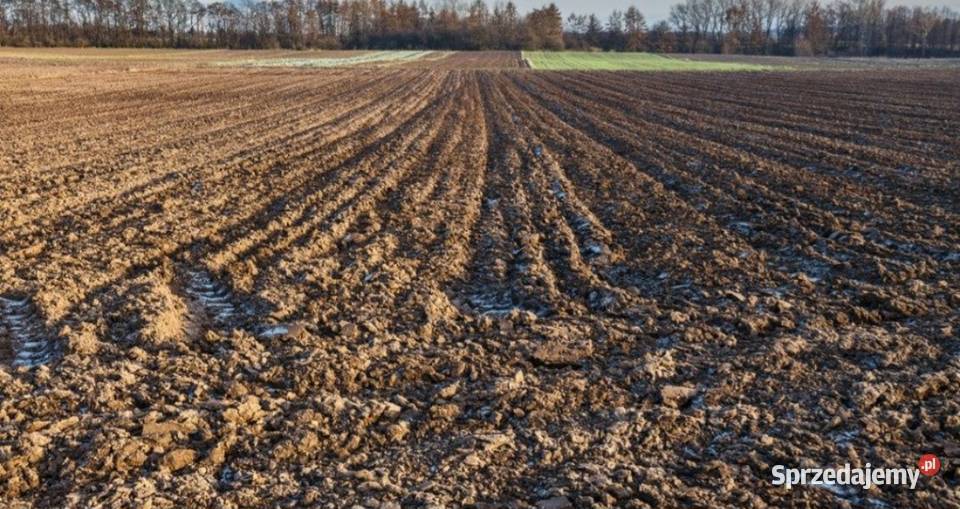 Działka rolna 26h wojdolnoślaskie 2zł/m2 dolnośląskie Wrocław