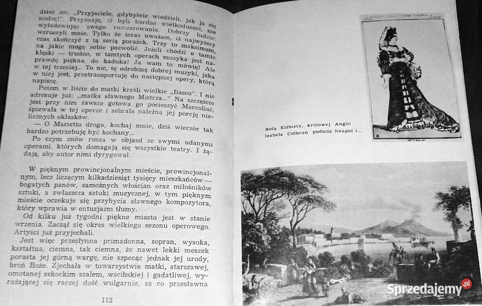 Divino maestro Powieść o Rossinim Arnaldo Rok wydania 1977 lubelskie