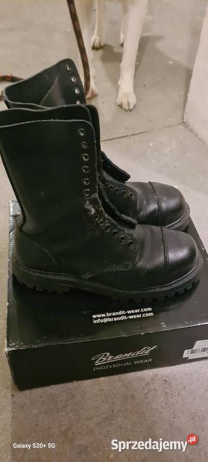 Glany męskie inna kujawsko-pomorskie Toruń