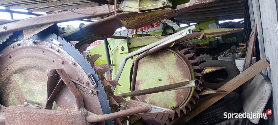 Sprzedam heder do kukurydzy RU450 Słupca