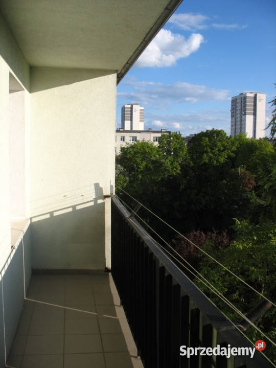 Poznań Rataje Sprzedam mieszkanie 472 m2 3 Sprzedaż