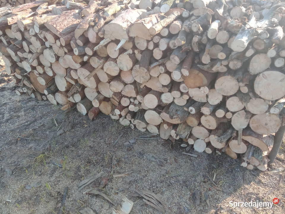Drewno opałowe pomorskie