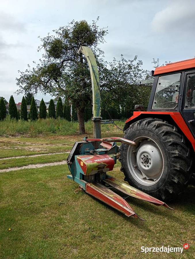 Sieczkarnia jednorzędowa Mengele MB 300 lubelskie Chojeniec