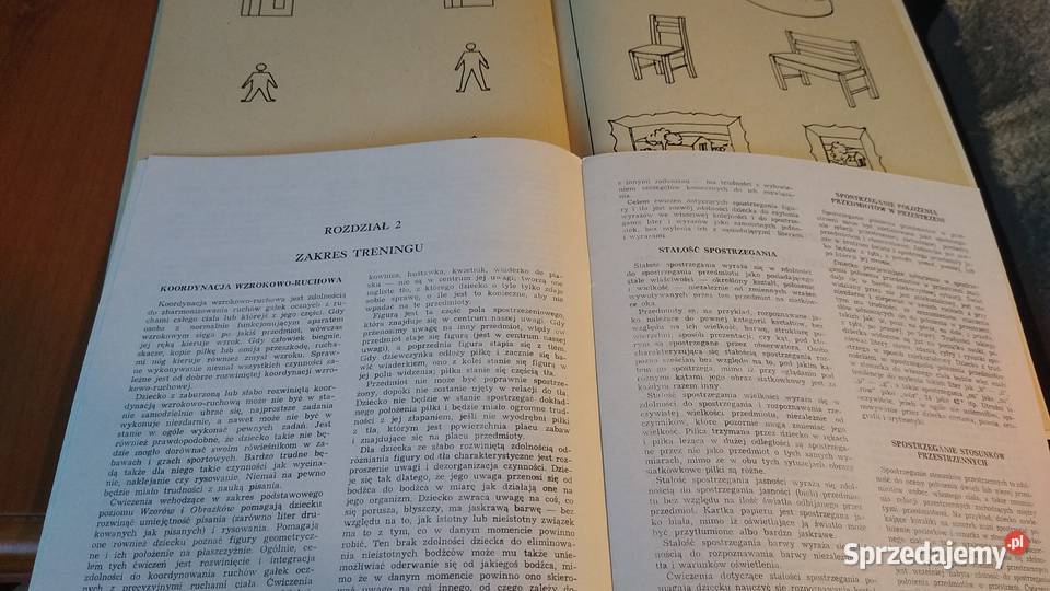 Wzory i obrazki program rozwijający percepcję pomorskie Gdańsk