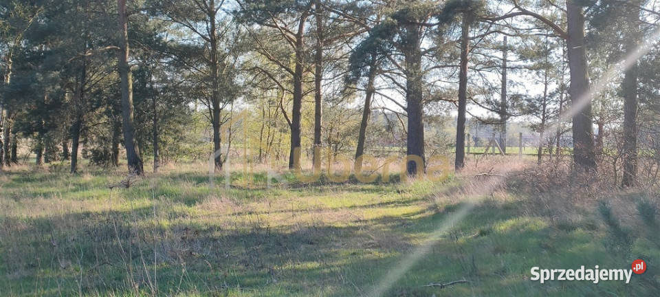 Stawno powkamieński Działka Inwestycyjna Grunty i działki Kamień Pomorski