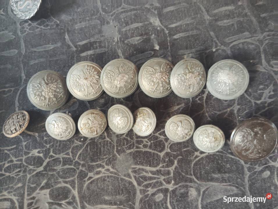 Guziki wojskowe stan Krusze