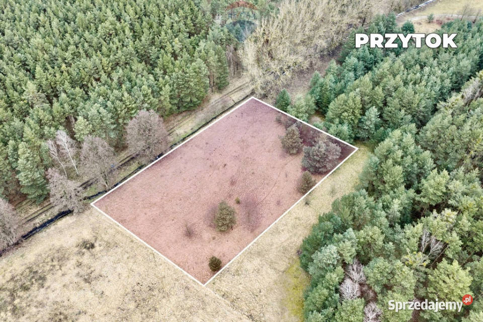 Na sprzedaż działka rolna o pow 4000 m 46m Przytok