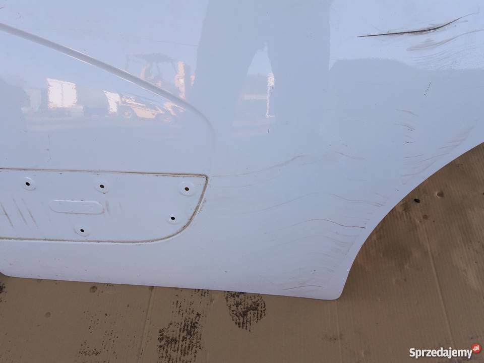 RENAULT MASTER III DRZWI LEWE PRAWE PRZÓD Bieleń