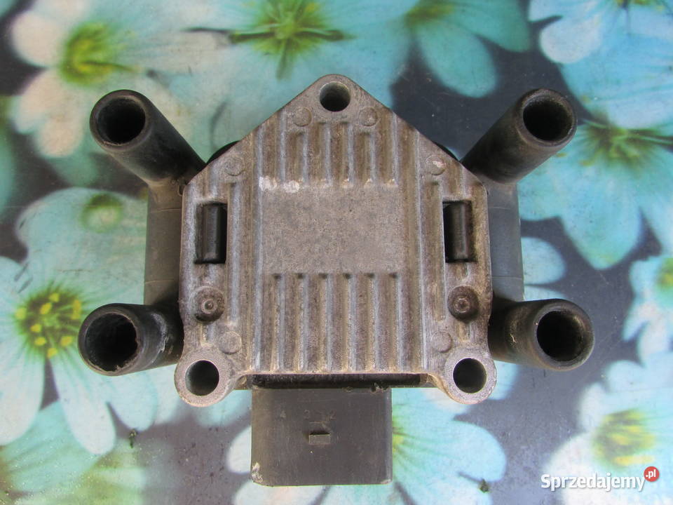 Cewka 109 310 101011 311740 Bogacica sprzedam