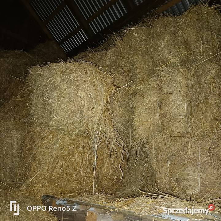 Siano w kostkach Pogórska Wola