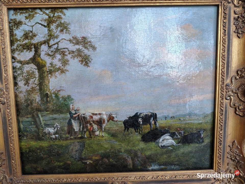 Stary obraz Krowy Kartuzy