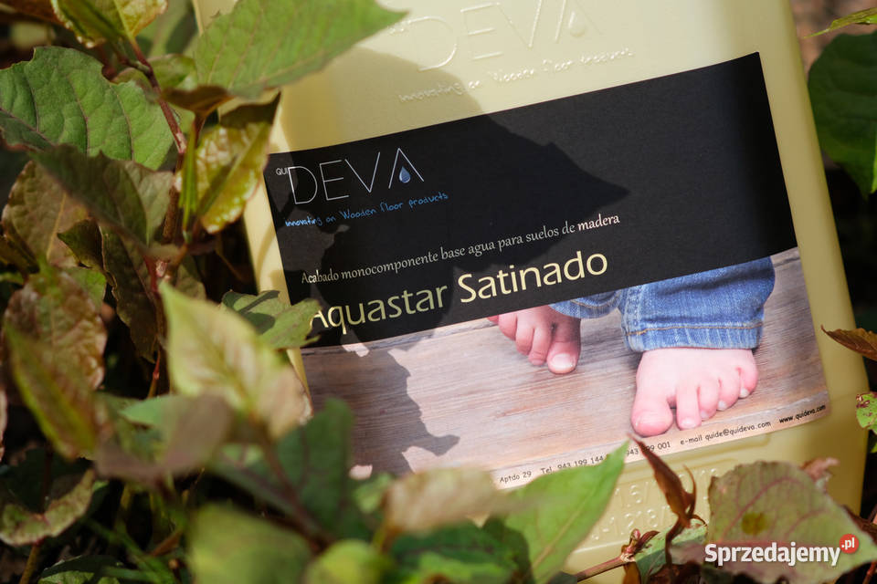 Lakiery Deva Hartz lack cykliniarki na wynajem Warszawa