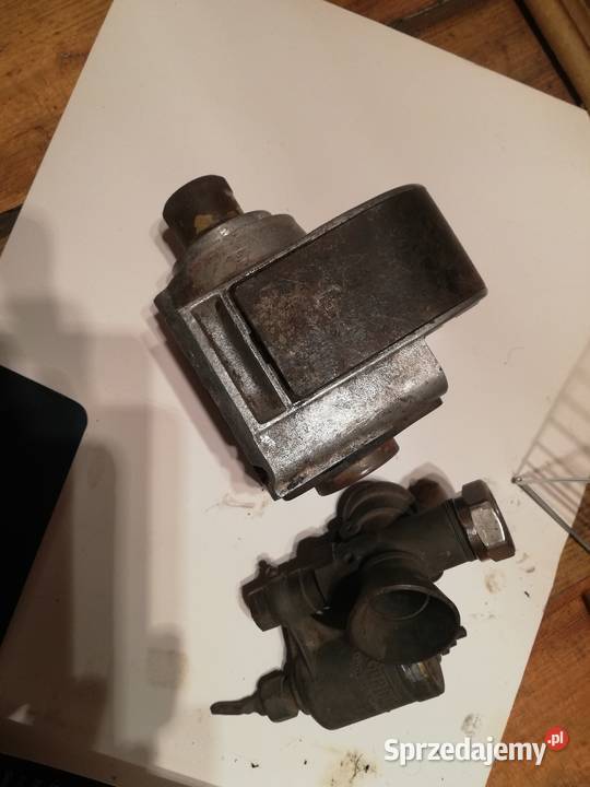 Podramowka RHONYXna chodzie Bydgoszcz