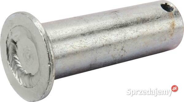 Sworzeń zawiasu ocynkowany 5070080KR