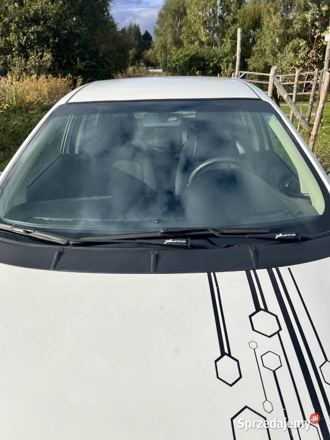 Fiata Grande Punto 13 Multijet Psary sprzedam