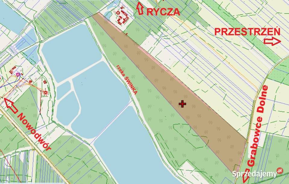 sprzedam LAS Grabowce Dolne powok8ha Ryki