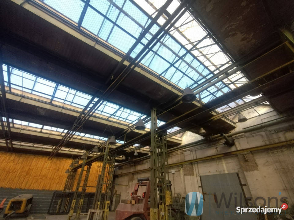 Do wynajęcia lokal 600m2 Wrocław Wynajem