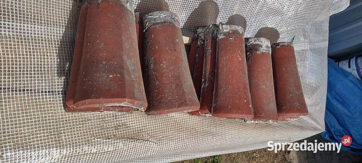 Gąsiary dachowe rajtary niemieckie Dobrodzień sprzedam