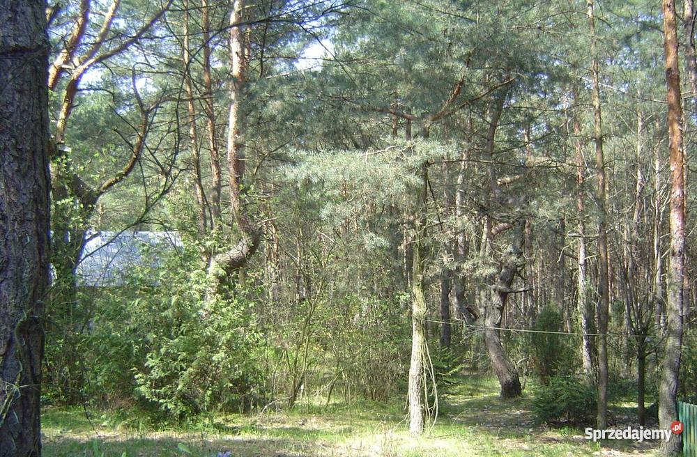 Działka budowlana Kania Polska 2161m2 Kania Polska