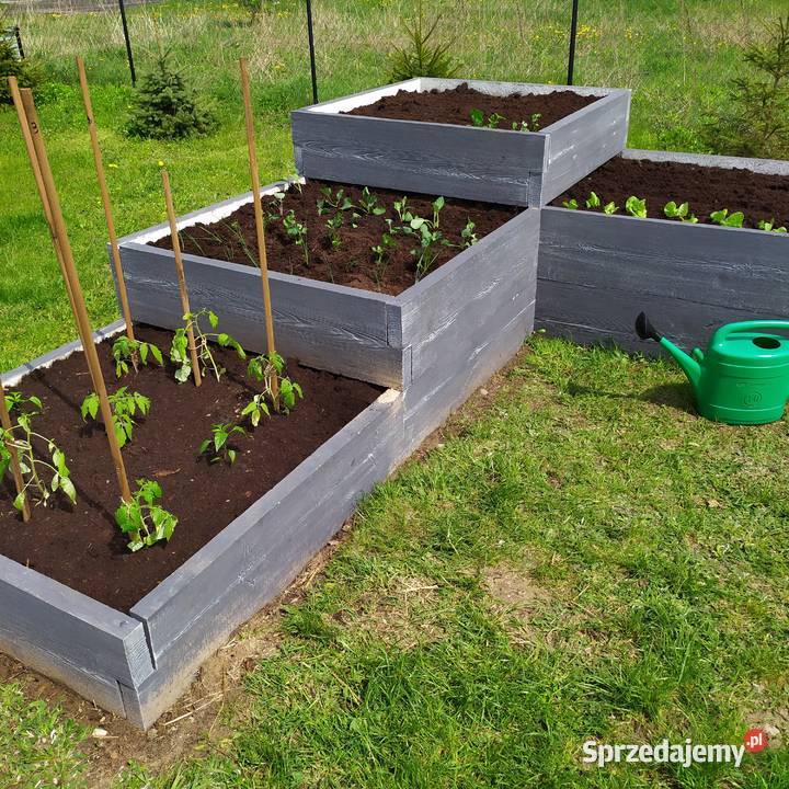 Skrzynia inspektowa warzywniak eko donica sprzedam