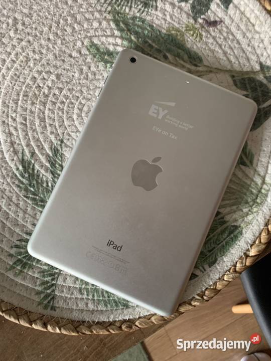 iPad mini wszystko sprawne Apple Łódź