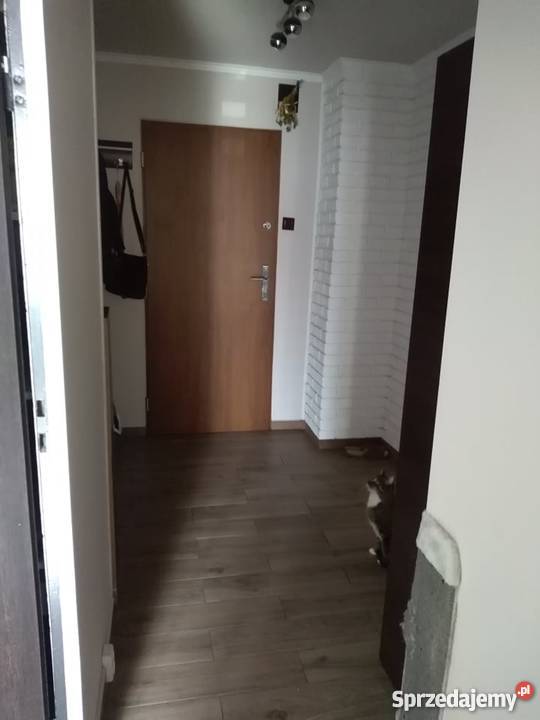 Sprzedam mieszkanie Sosnowiec Zagórze 52m Liczba pokoi 2