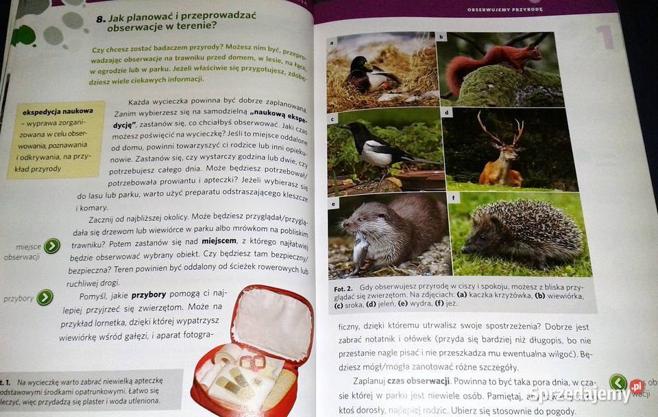 Przyroda z klasą 4 Joanna Buniowska Ewa