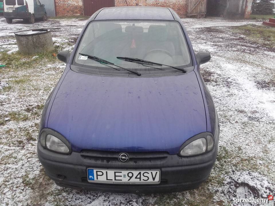 Korsinka godna sprowadzony wielkopolskie Stara Ciświca