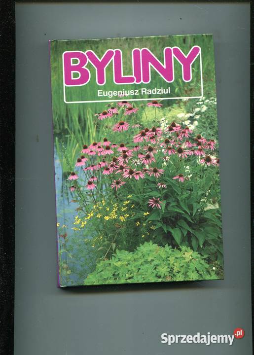 Byliny Eugeniusz Radziul Szczecin