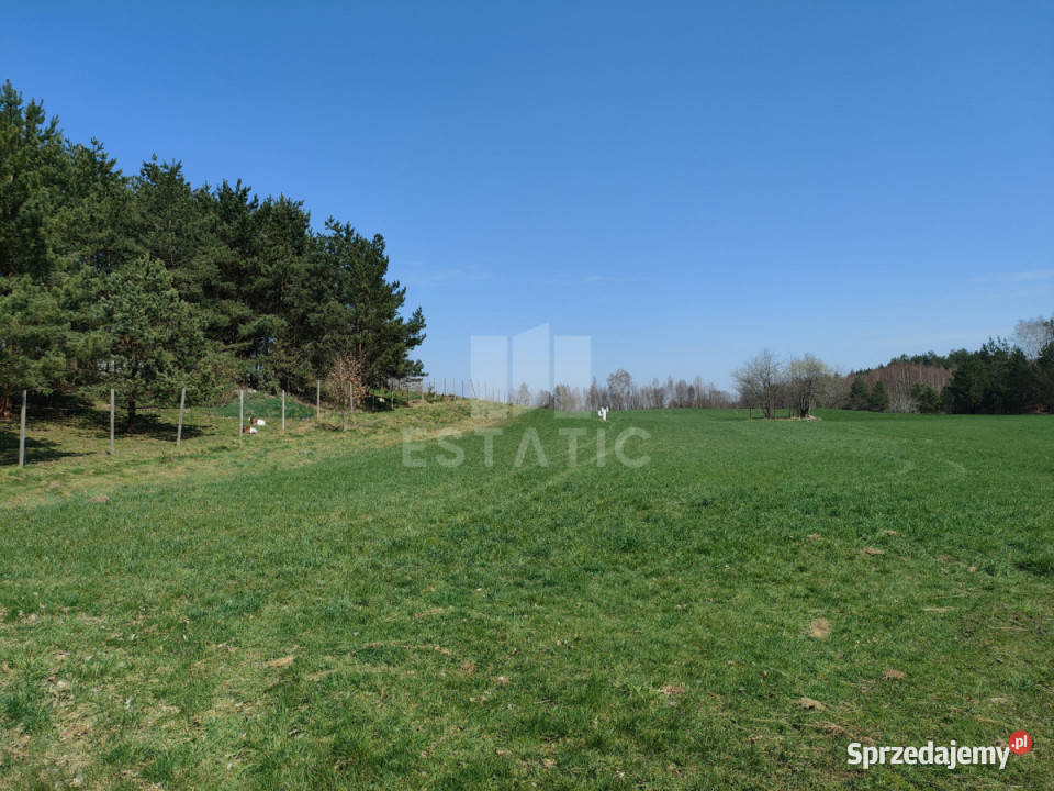 sprzedaży gruntu Rąb Wspólna 16317m2