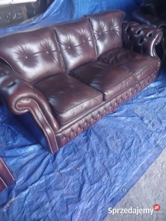 Chesterfield angielski lubelskie Biała Podlaska
