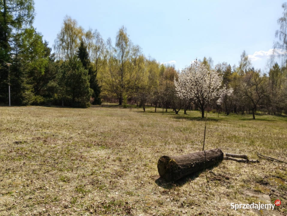 piekna dzialka odpowiediego klijenta łódzkie Łódź
