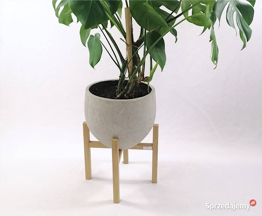 Kwietnik w nowoczesnych wnętrzach lubelskie Lublin