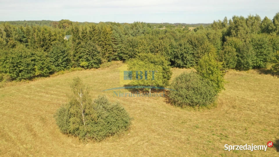 Działka 3087m2 jeziorem Komorze Sprzedaż Kuszewo