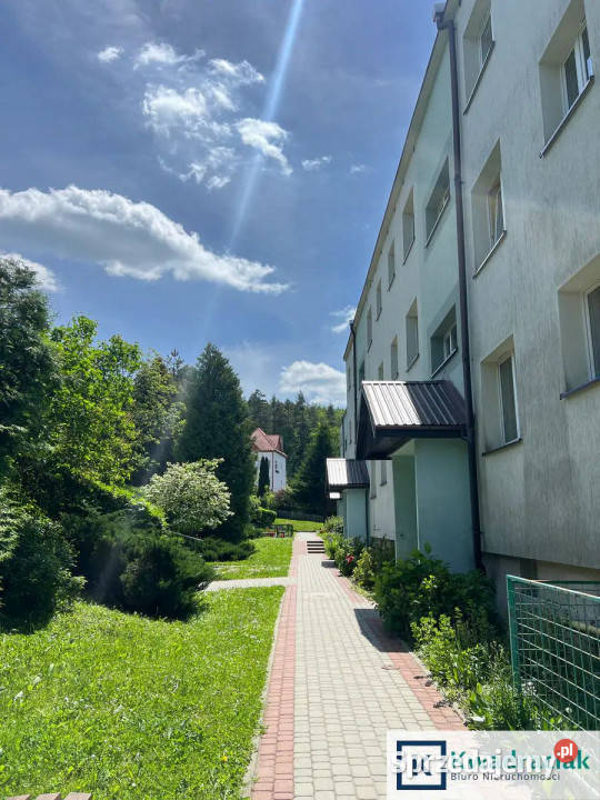 Ogłoszenie mieszkanie 40m2 2 pokoje IwoniczZdrój podkarpackie