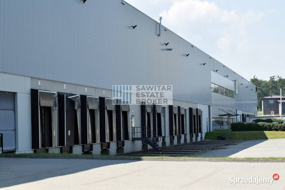 Hala Klasy A 5600m2 zaraz Bez Prowizji mazowieckie Ołtarzew