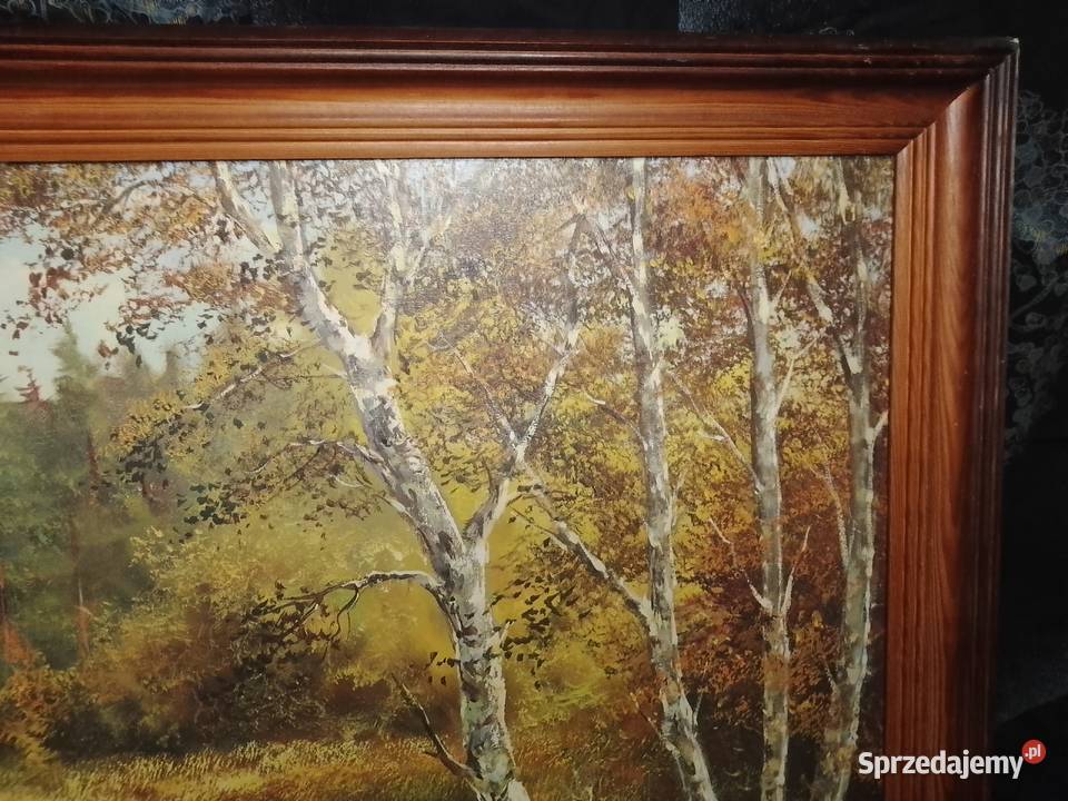 Pejzaż Helmut GlasslObrazStaw otoczony Świdnik sprzedam