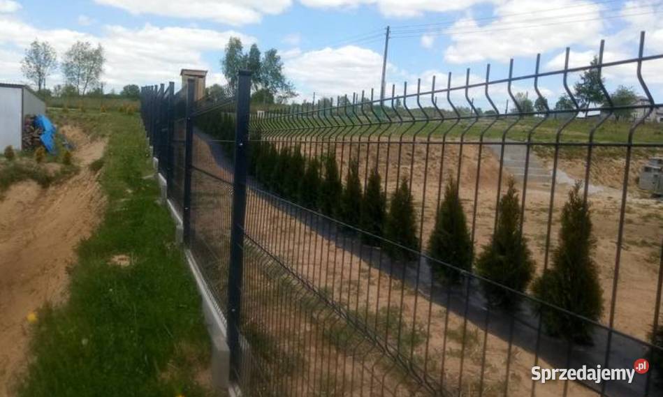 Panel ogrodzeniowy PROMOCJA 123x250 fi4mm metal Gorlice